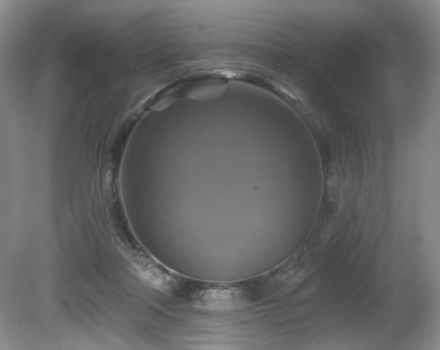 X0000080690314200612151255