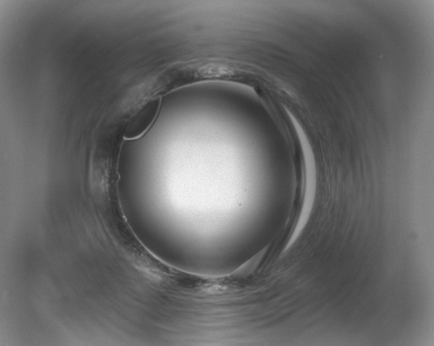 X0000080690315200612151255