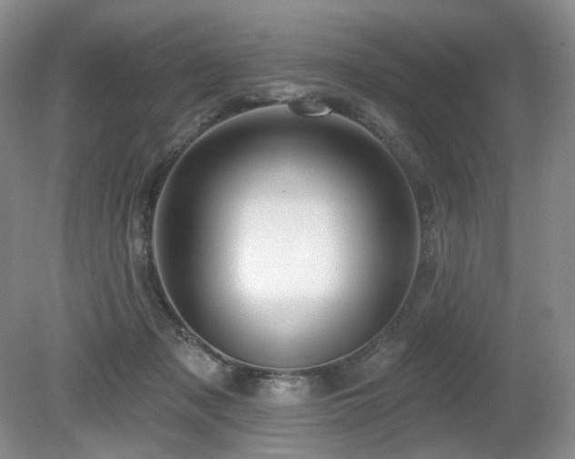 X0000080690317200612151255