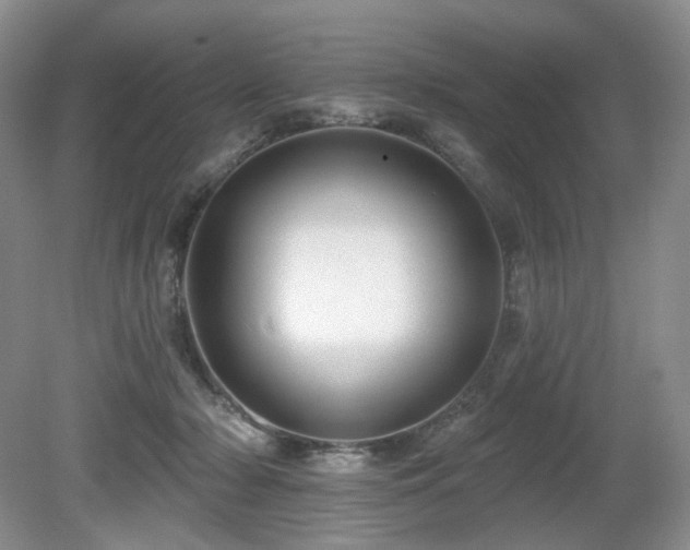 X0000080690318200612151255