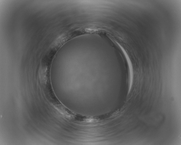 X0000080690319200612151255
