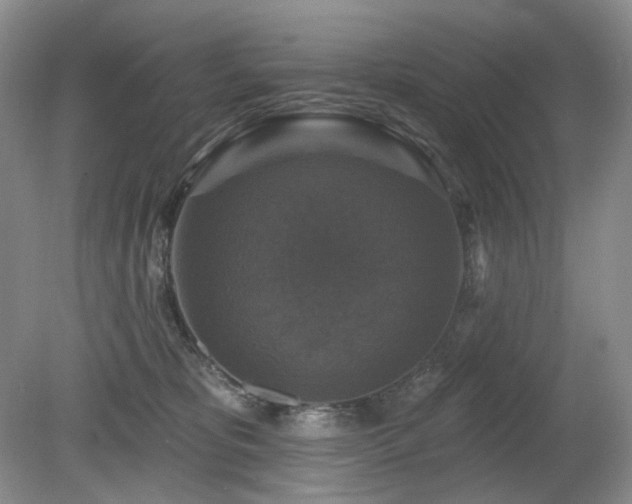 X0000080690325200612151255