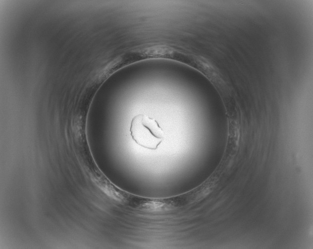 X0000080690326200612151255