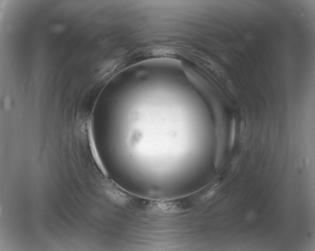 X0000080690329200612151255