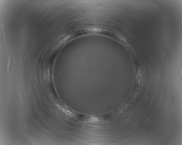 X0000080690330200612151255