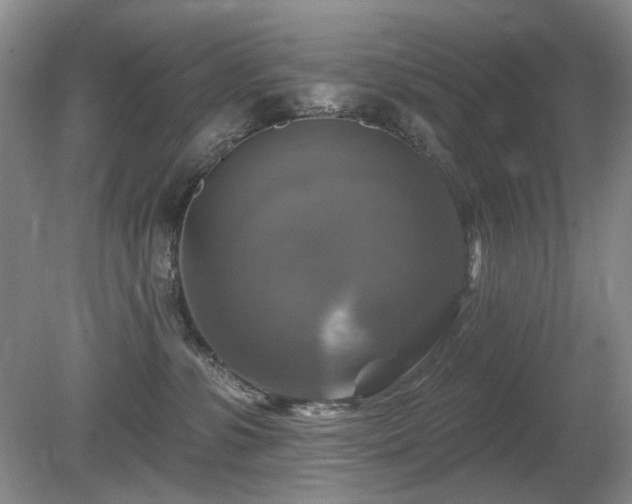 X0000080690331200612151255