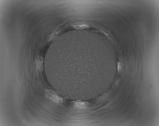 X0000080690332200612151255
