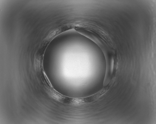 X0000080690333200612151255