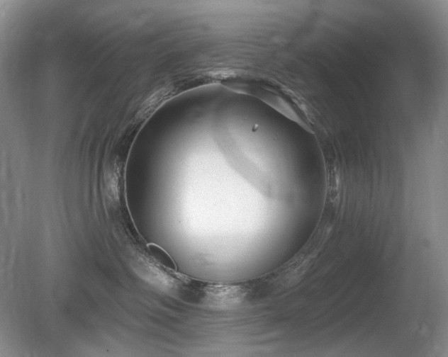 X0000080690334200612151255