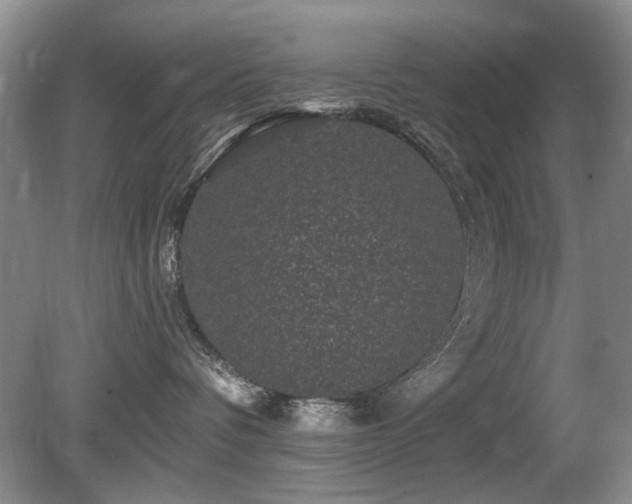 X0000080690336200612151255