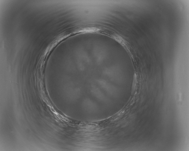 X0000080690337200612151254