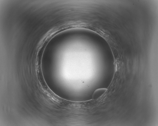 X0000080690339200612151254