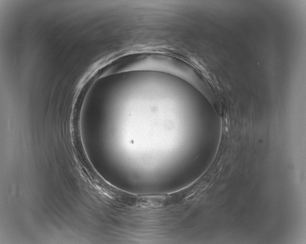 X0000080690340200612151254