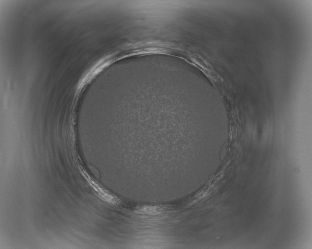 X0000080690341200612151254