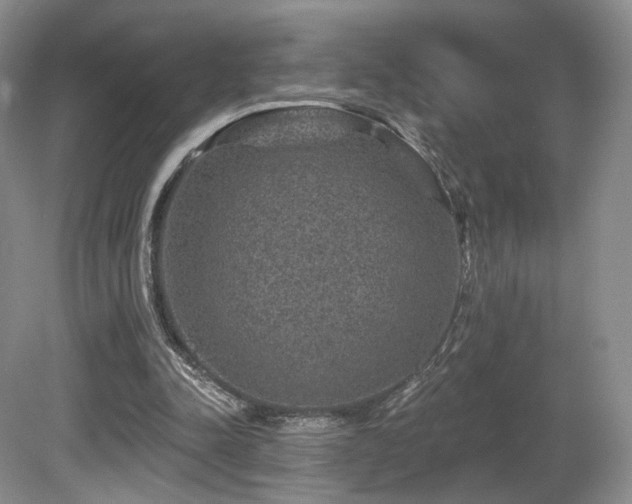 X0000080690342200612151254