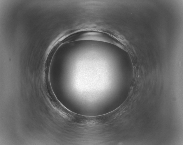 X0000080690344200612151254