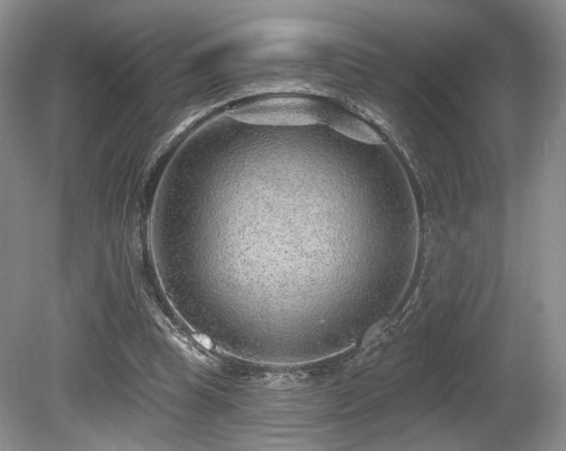 X0000080690345200612151254