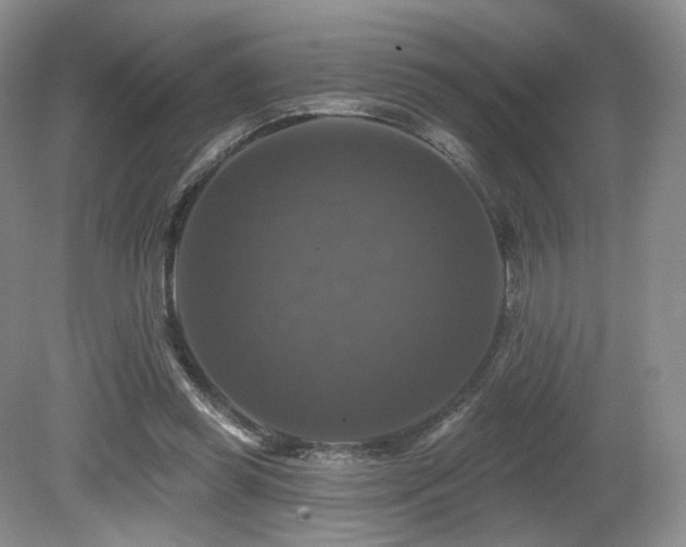 X0000080690349200612151254
