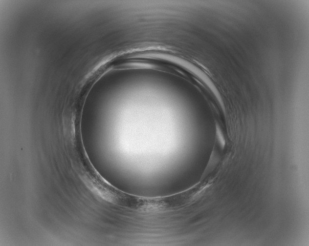 X0000080690350200612151254