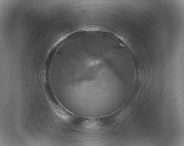 X0000080690351200612151254