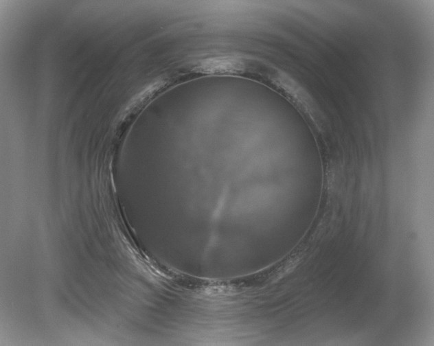 X0000080690353200612151255