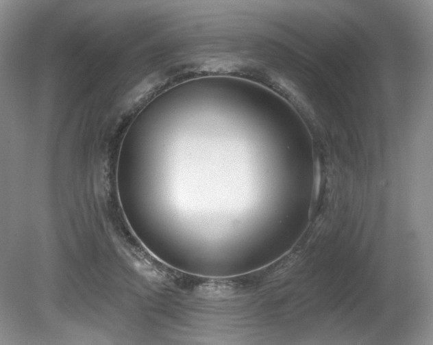 X0000080690354200612151255