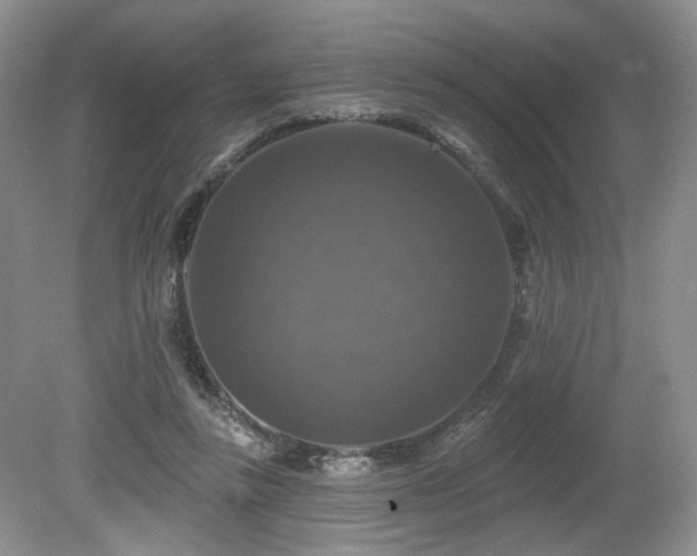 X0000080690355200612151255