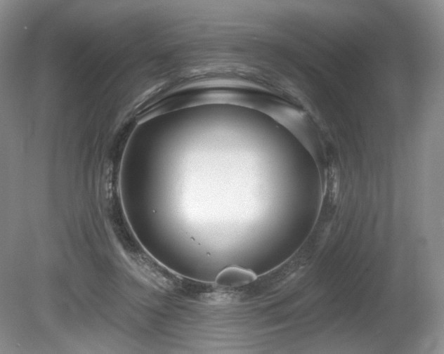 X0000080690356200612151255