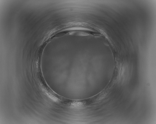X0000080690357200612151255