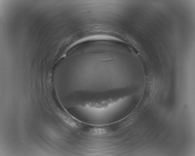 X0000080690361200612151255
