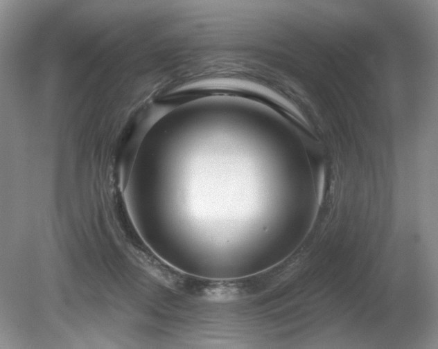 X0000080690362200612151255