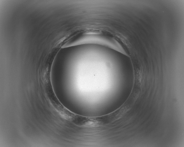 X0000080690364200612151255
