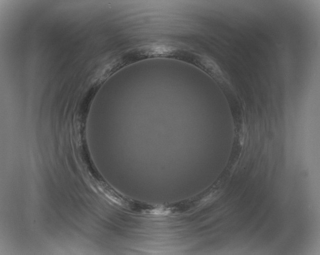 X0000080690366200612151255