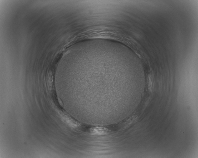 X0000080690372200612151255