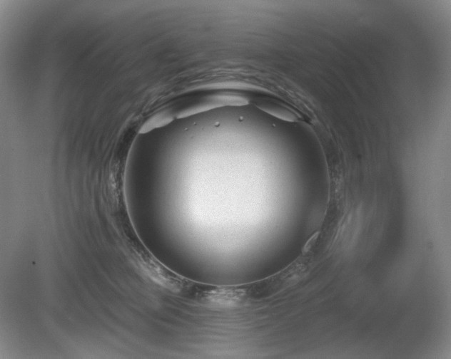X0000080690373200612151255