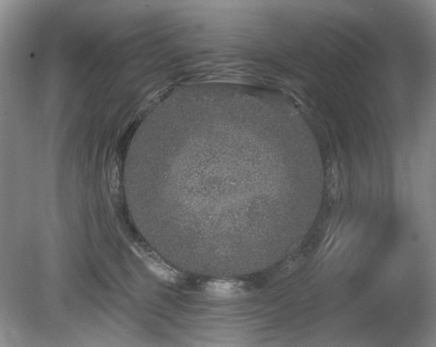 X0000080690375200612151255