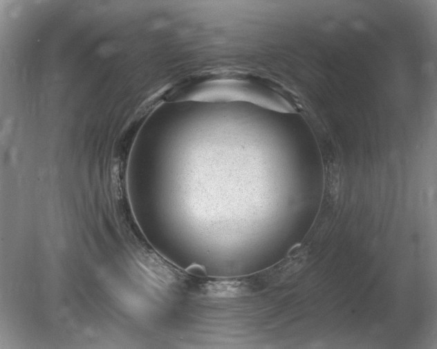 X0000080690378200612151255