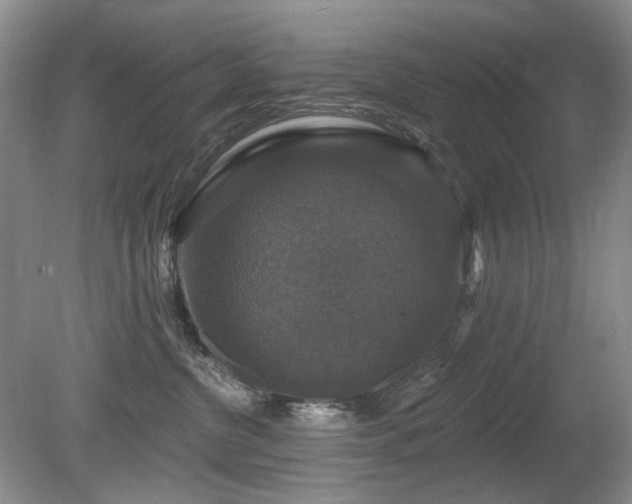 X0000080690380200612151255