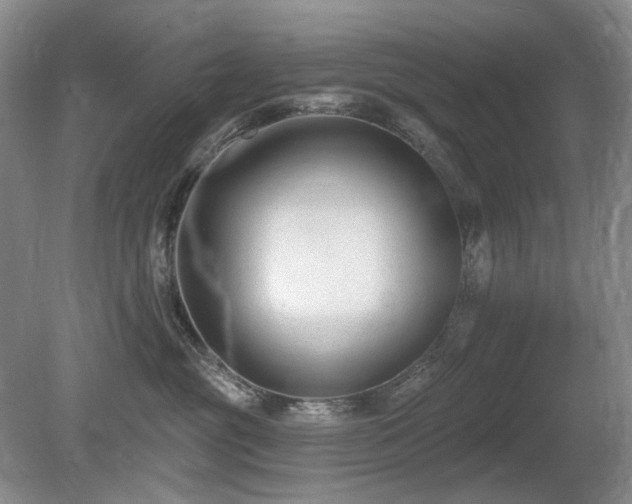 X0000080690381200612151255