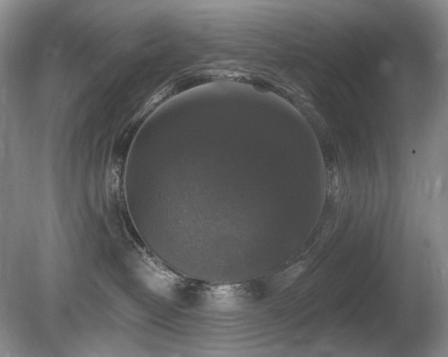 X0000080690382200612151255