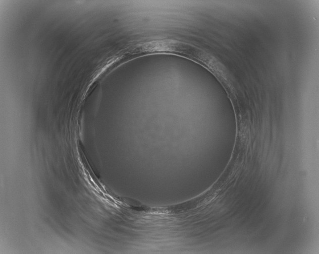 X0000080690386200612151254