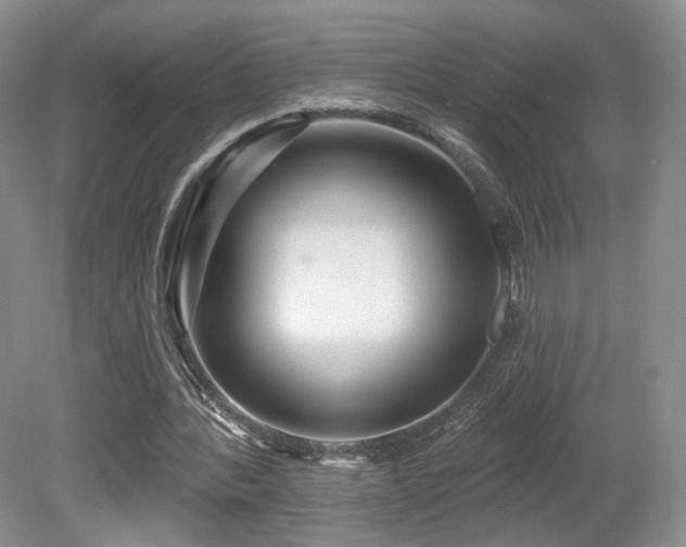 X0000080690388200612151254