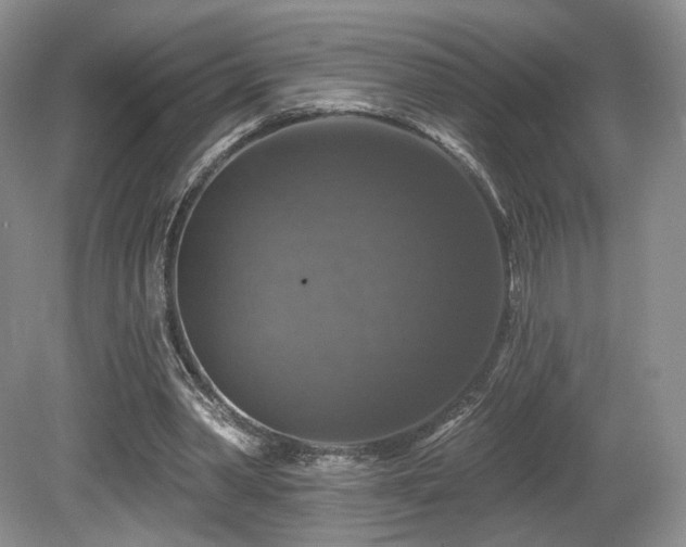 X0000080690390200612151254