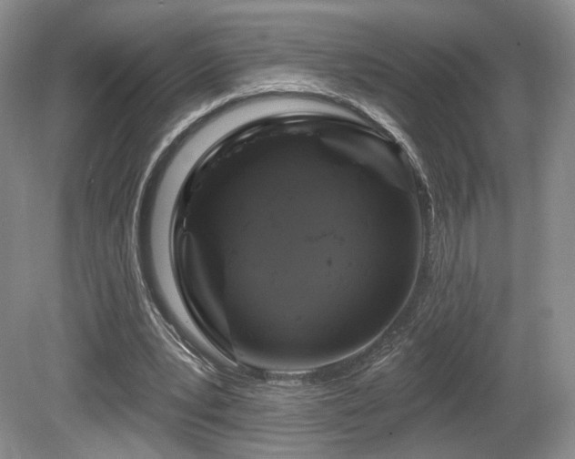 X0000080690391200612151254
