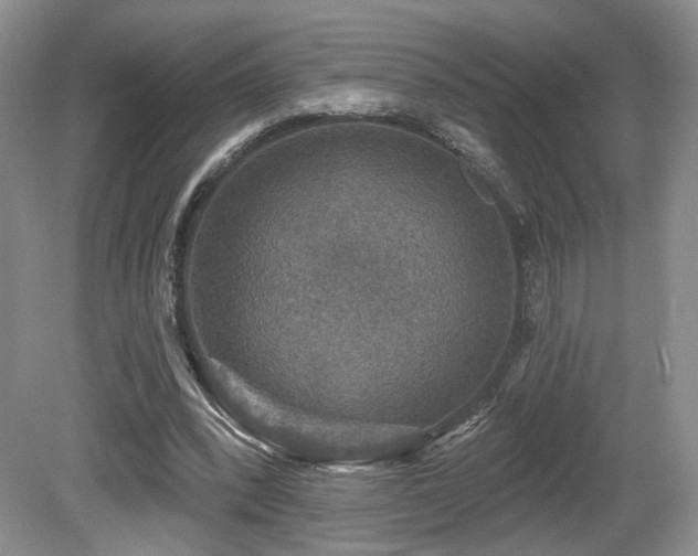 X0000080690392200612151254