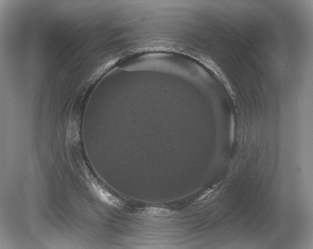 X0000080690393200612151254
