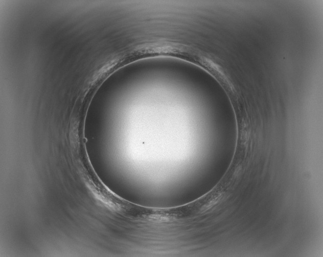 X0000080690394200612151254