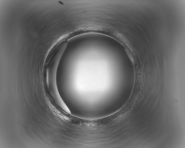 X0000080690395200612151254