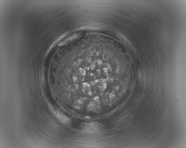 X0000080690396200612151254