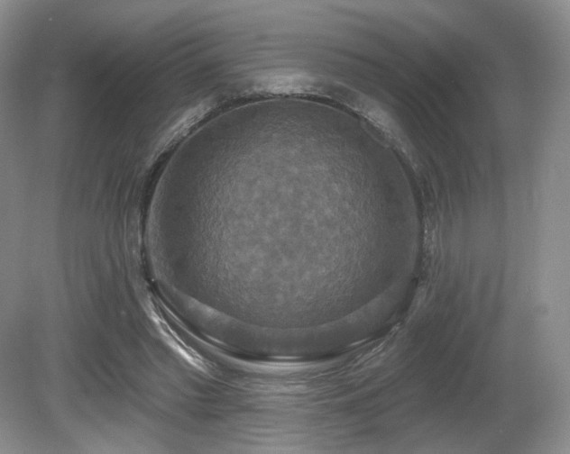 X0000080690397200612151254